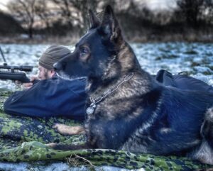 Schæferhund ligger udendørs ved siden af en mand, der sigter med en riffel.