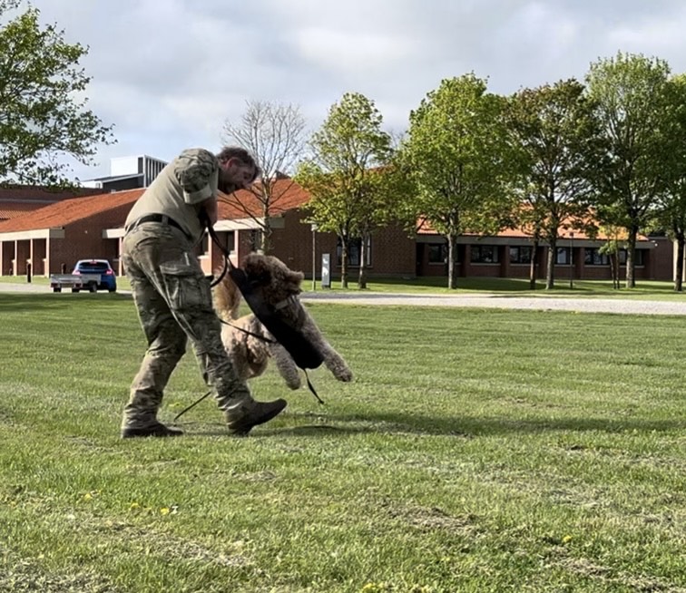 Mand træner en hund udendørs i et græsklædt område med træer
