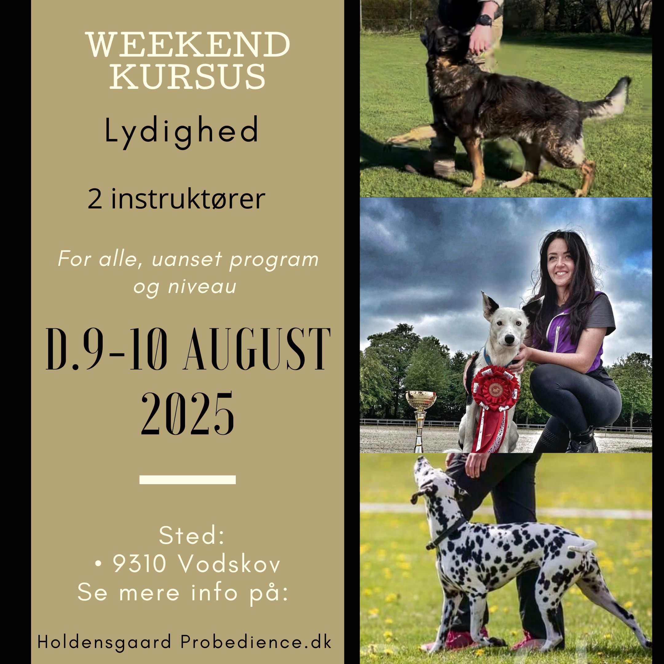 Weekendkursus i lydighed for hunde, 9.-10. august 2025. Hunde og førere udstilles.