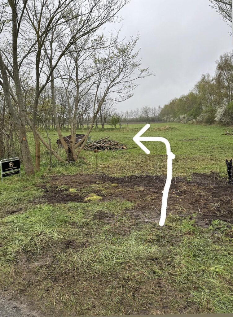 Mudret træningsområde med trådhegn, hund og brændestable. Træningsbanen.